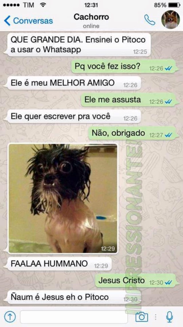 portalraizes.com - 15 conversas que você teria com seu cachorro se ele usasse WhatsApp