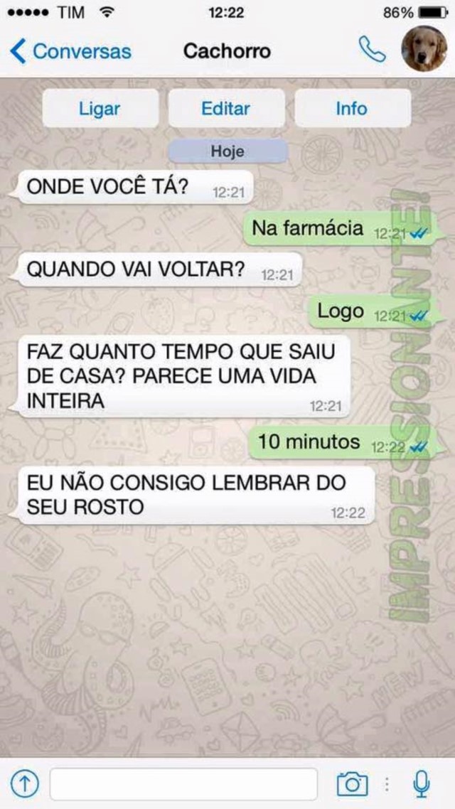 portalraizes.com - 15 conversas que você teria com seu cachorro se ele usasse WhatsApp