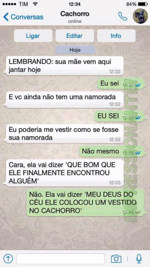 portalraizes.com - 15 conversas que você teria com seu cachorro se ele usasse WhatsApp