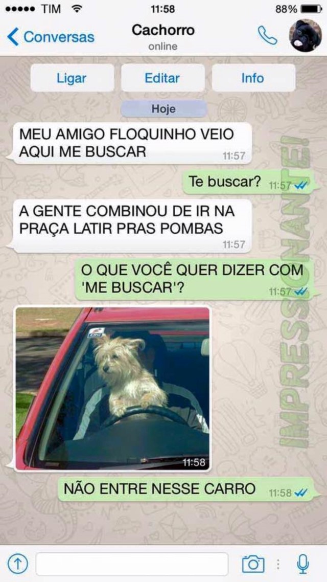 portalraizes.com - 15 conversas que você teria com seu cachorro se ele usasse WhatsApp