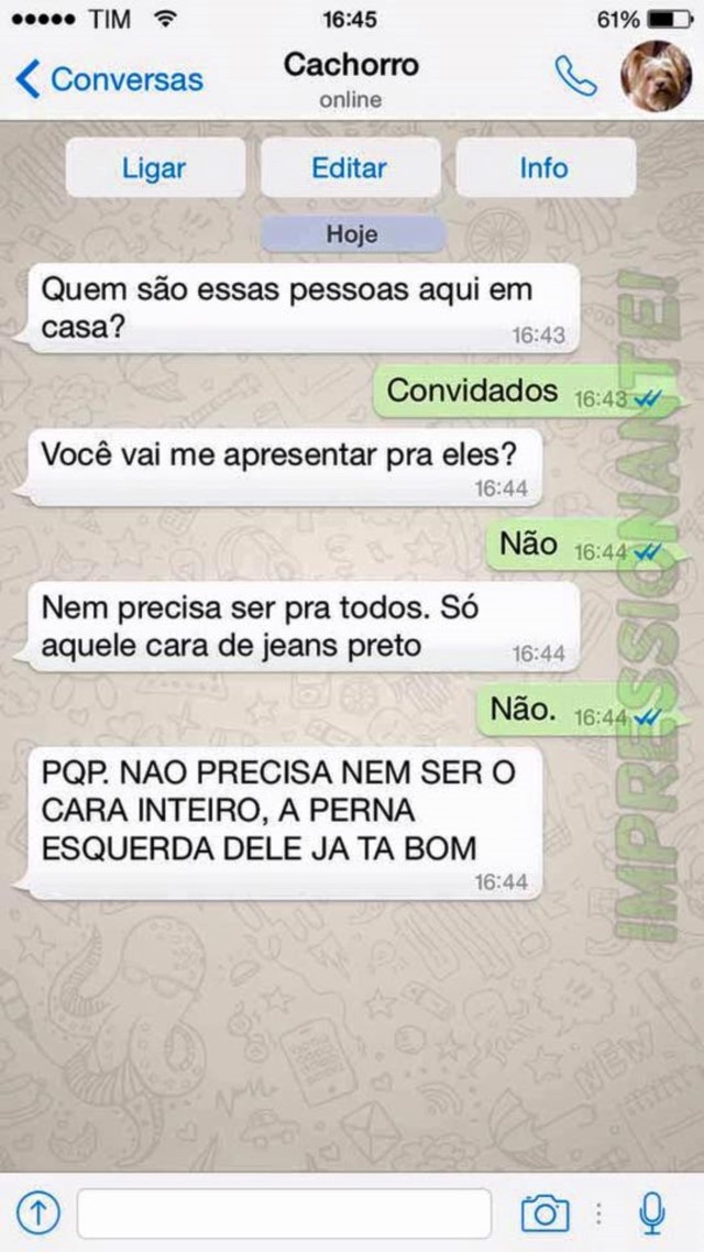 portalraizes.com - 15 conversas que você teria com seu cachorro se ele usasse WhatsApp