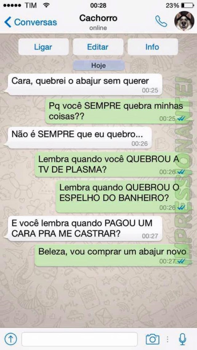 portalraizes.com - 15 conversas que você teria com seu cachorro se ele usasse WhatsApp