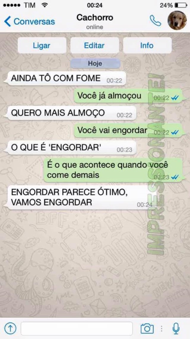 portalraizes.com - 15 conversas que você teria com seu cachorro se ele usasse WhatsApp