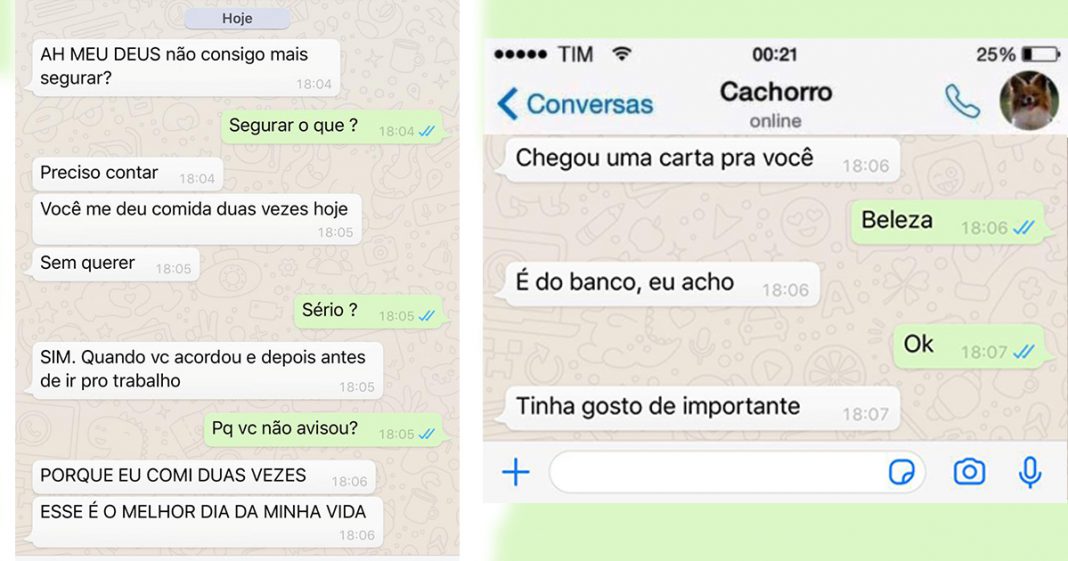 15 conversas que você teria com seu cachorro se ele usasse WhatsApp