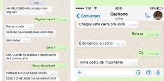 15 conversas que você teria com seu cachorro se ele usasse WhatsApp