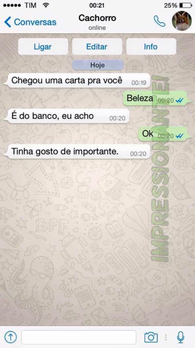 portalraizes.com - 15 conversas que você teria com seu cachorro se ele usasse WhatsApp