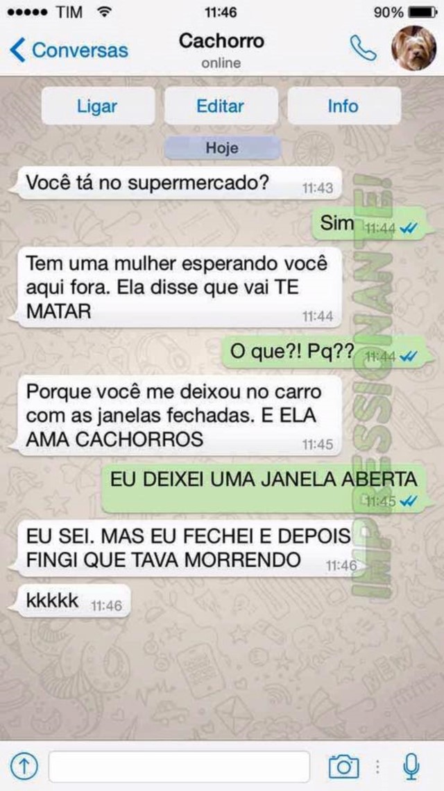 portalraizes.com - 15 conversas que você teria com seu cachorro se ele usasse WhatsApp