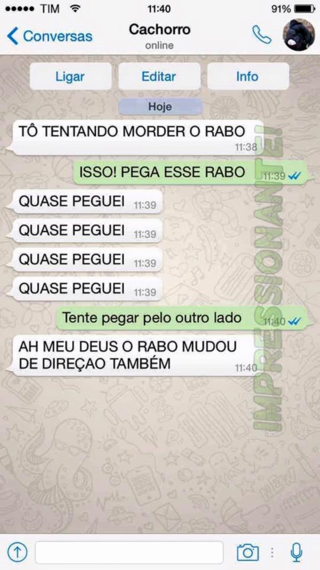 portalraizes.com - 15 conversas que você teria com seu cachorro se ele usasse WhatsApp