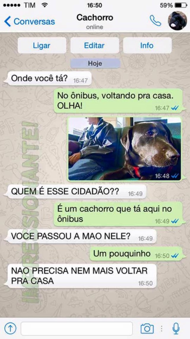 portalraizes.com - 15 conversas que você teria com seu cachorro se ele usasse WhatsApp