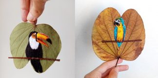 Arte inusitada: Artesã borda aves brasileiras em folha secas