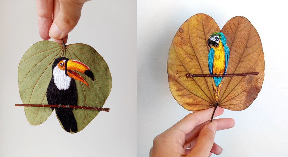 Arte inusitada: Artesã borda aves brasileiras em folha secas