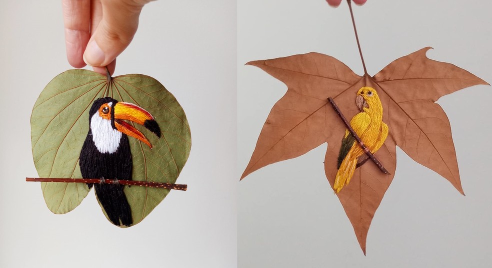 portalraizes.com - Arte inusitada: Artesã borda aves brasileiras em folha secas