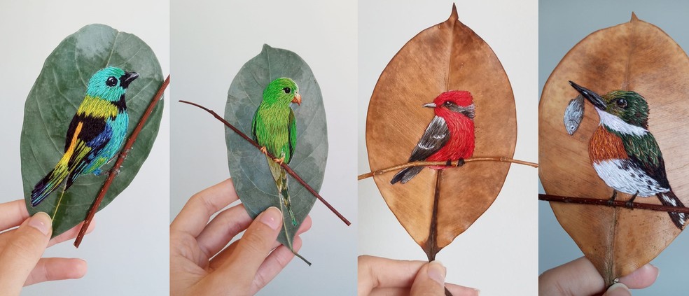 portalraizes.com - Arte inusitada: Artesã borda aves brasileiras em folha secas