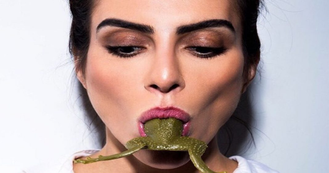 A gente adoece mesmo é de tanto engolir sapos – Por Clara Dawn