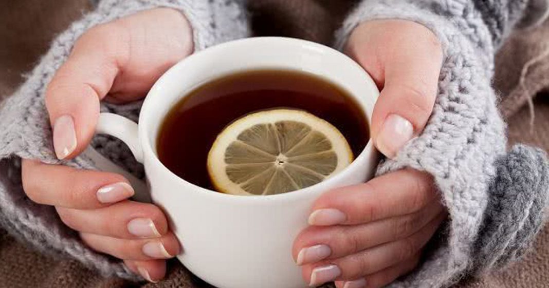 Chá de orégano contra retenção de líquidos, insônia e mais