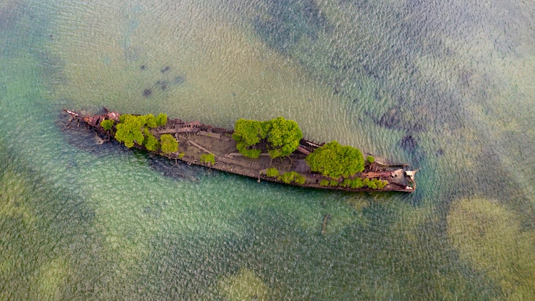 portalraizes.com - Navio naufragado há mais de 100 anos é confiscado pela natureza