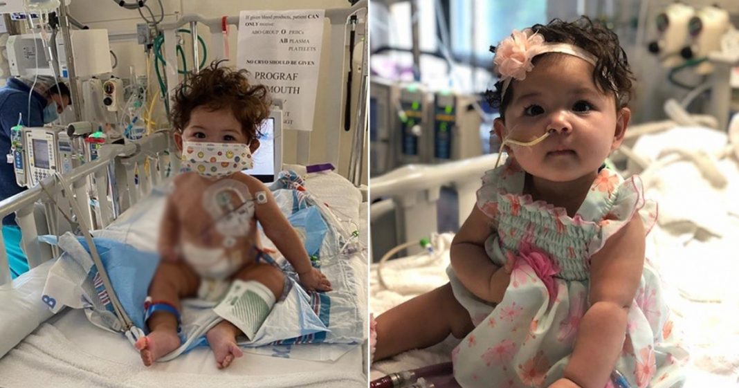 Bebê de 9 meses que recebeu transplante de coração, emociona: “Foi como um raio de sol sobre todos nós”