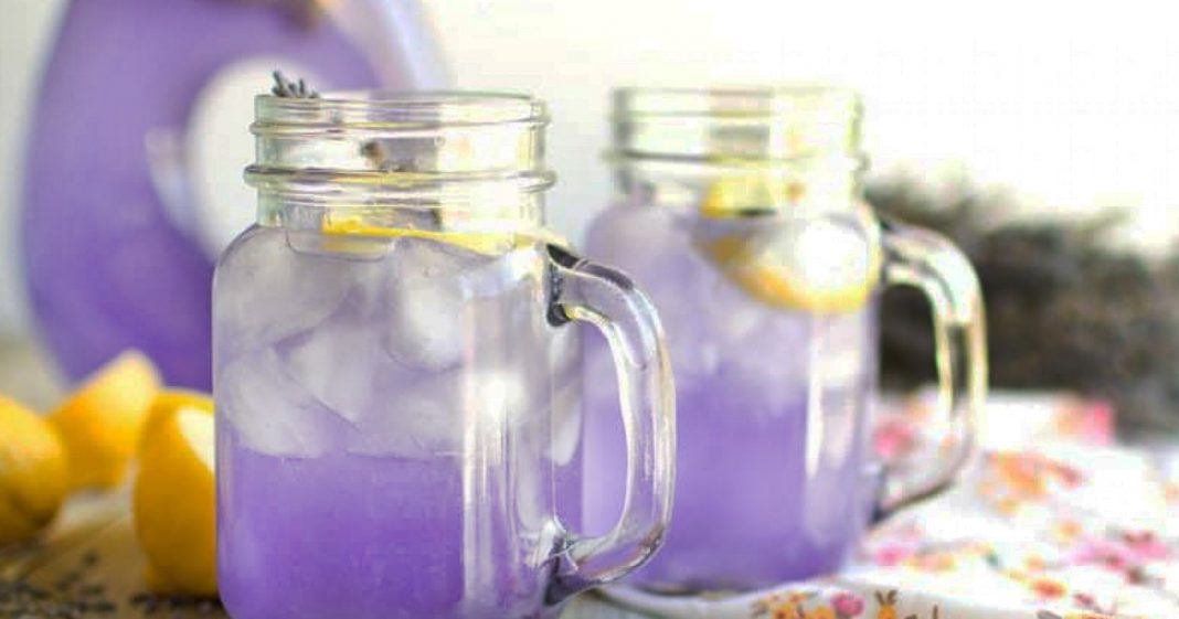 Como fazer limonada de lavanda para ajudar com dores de cabeça e ansiedade