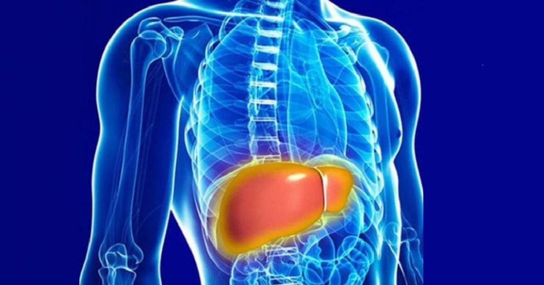Fígado gordo: uma ‘epidemia silenciosa’, afirma hepatologista
