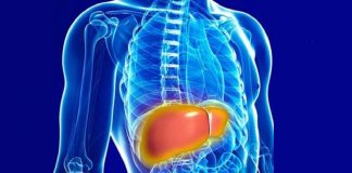 Fígado gordo: uma ‘epidemia silenciosa’, afirma hepatologista