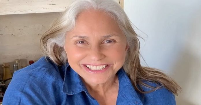 fafá de belém