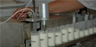 A agricultura celular e a produção do leite de vaca feito sem vacas