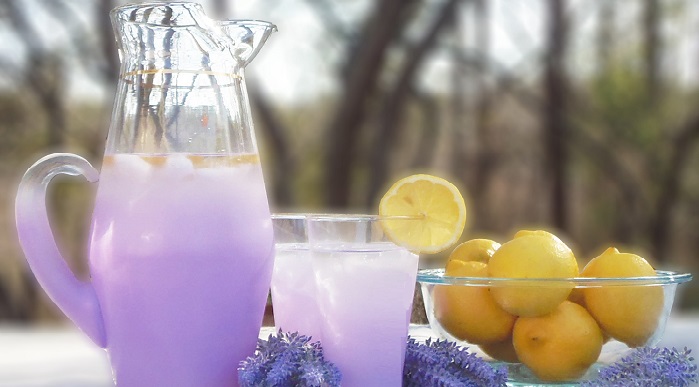 portalraizes.com - Como fazer limonada de lavanda para ajudar com dores de cabeça e ansiedade