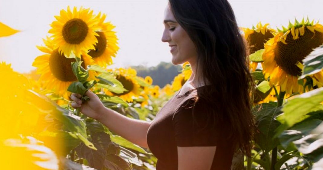 Mulheres que amam girassóis irradiam uma luz especial que faz todos felizes