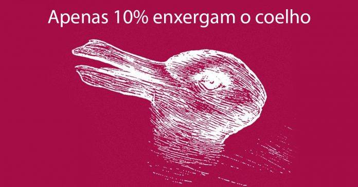 coelho ou pato capa
