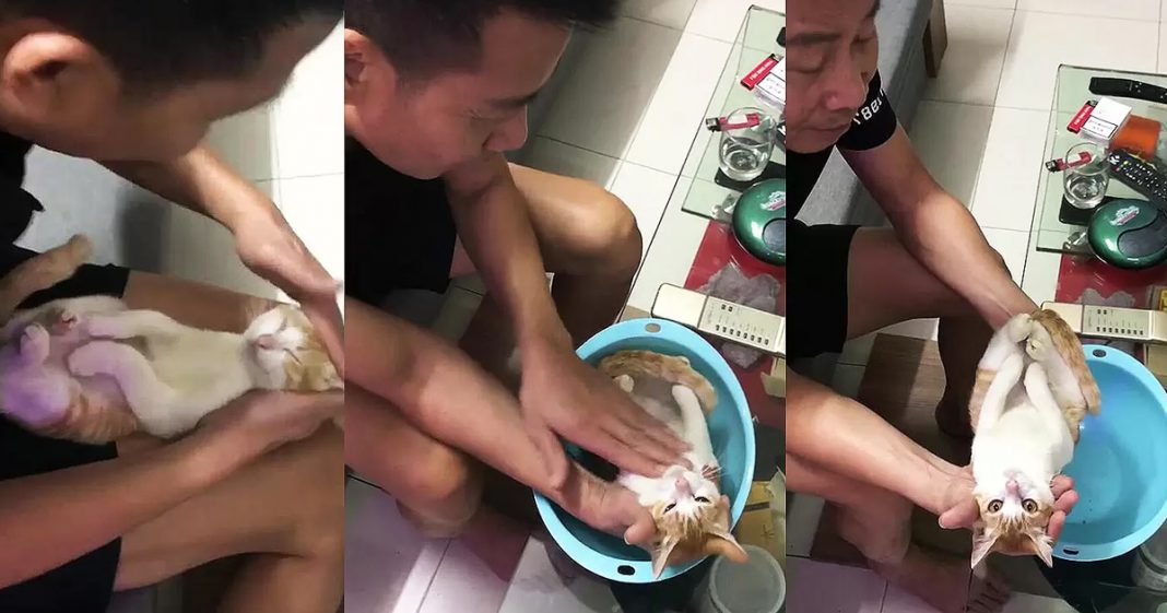Futuro avô mostra a filho como dar banho em um bebê usando gato como exemplo