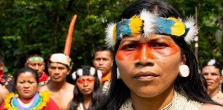 Nemonte Nenquimo ganha Nobel Verde por proteger 500 mil hectares na floresta Amazônica
