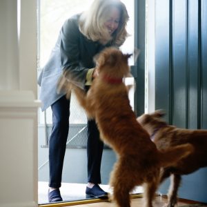 portalraizes.com - Emocionante: 13 lições que você precisa permitir que o seu cão te ensine