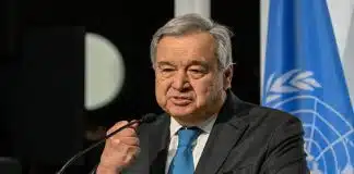 Estamos em desarmonia com a natureza. Somos uma arma de extinção em massa, diz ONU