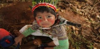 ONG evangélica recebeu 872 milhões para prestar assistência a povos indígenas