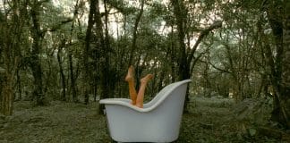O que você precisa é de um “banho de floresta”, especialistas recomendam