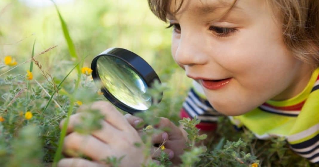 Criança e natureza: uma relação indispensavelmente saudável