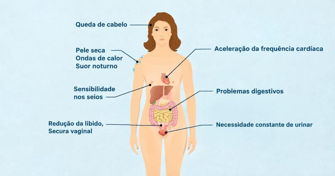 Toda mulher deveria saber precocemente quais são os primeiros sintomas e quanto tempo dura a menopausa